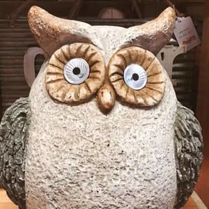 Meet your Posher, Lorie